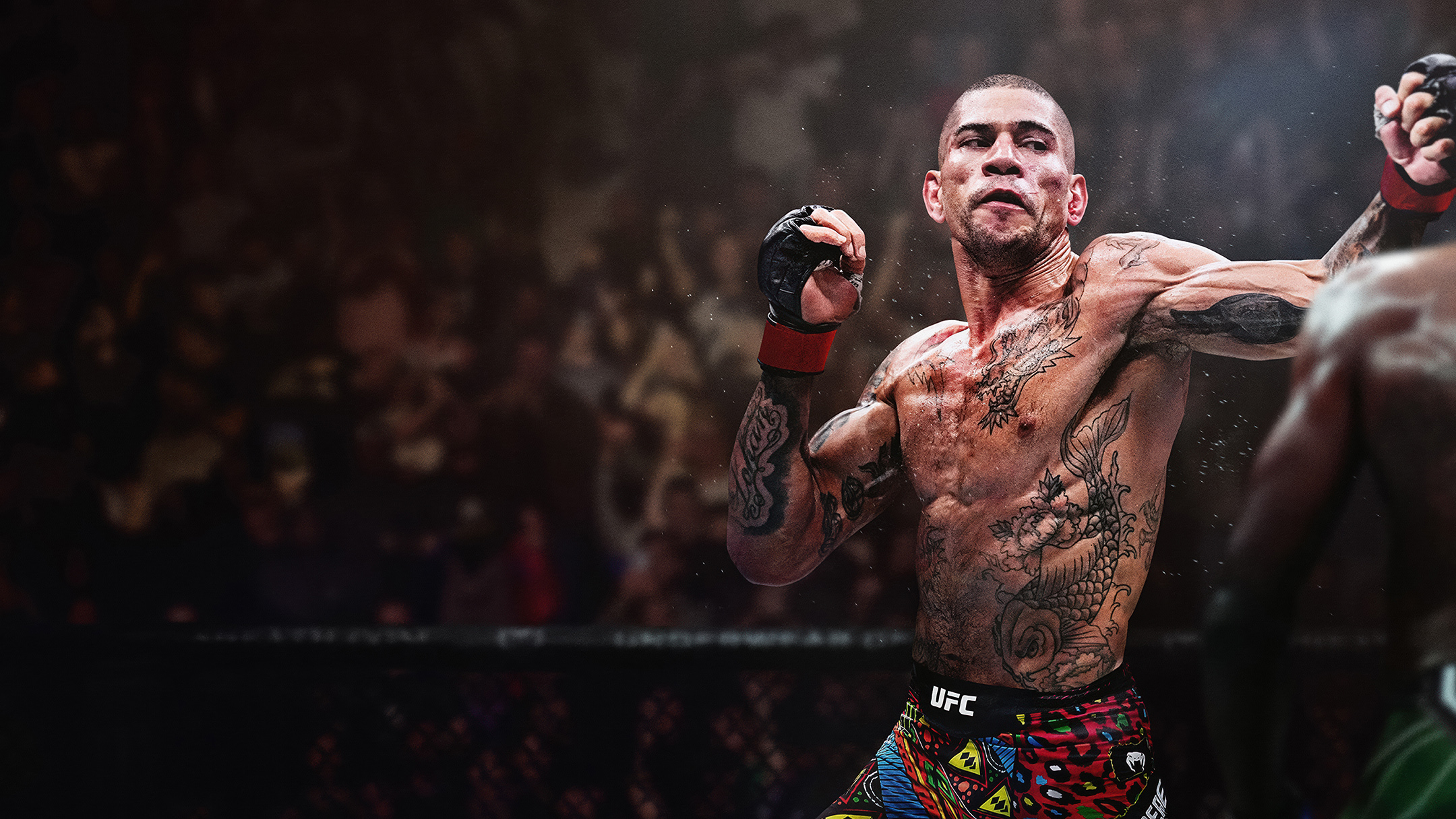 Wallpaper do jogo UFC 6